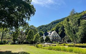 Hotel Alte Muehle